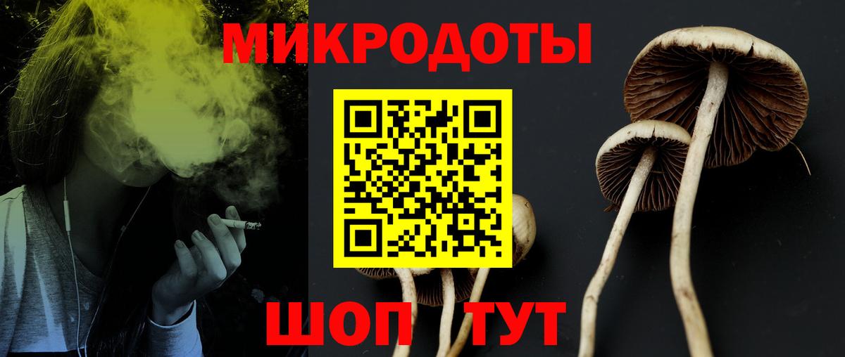 Зеленогорск  Галлюциногенные грибы мицелий  цена наркотик  Вход с VPN 